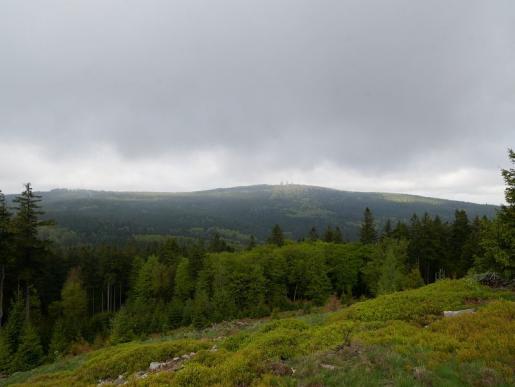 Abstieg vom Altkönig, schöner Blick auf das nächste Ziel - den Großen Feldberg (879 m)