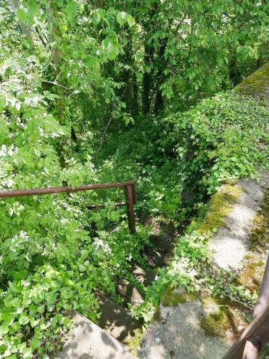 Amöneburg, Abstieg über einen kleinen, leicht verwachsen Weg
