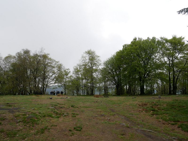 Altkönig (798 m), Gipfelplateau