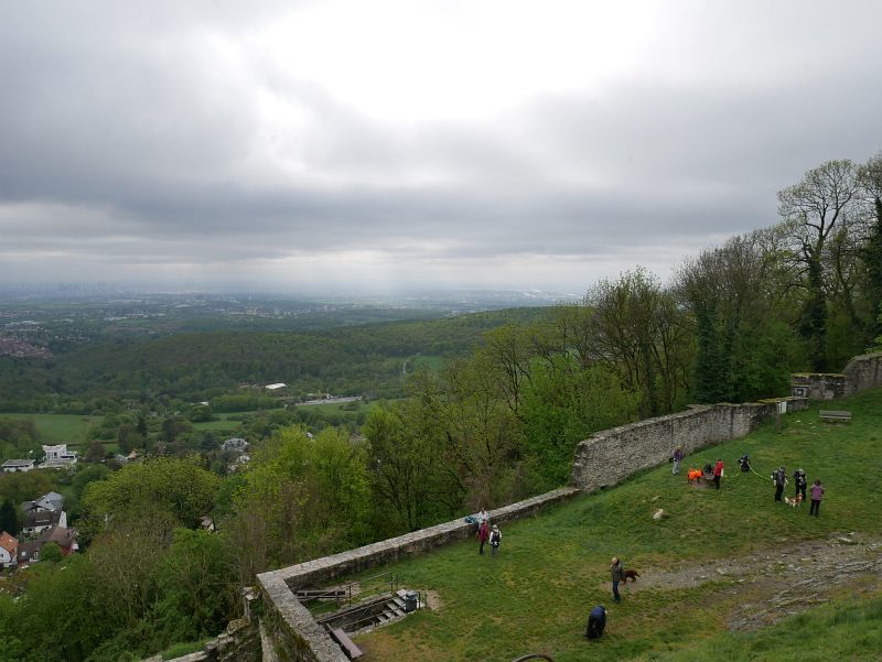 Burgruine Falkenstein (Taunus)