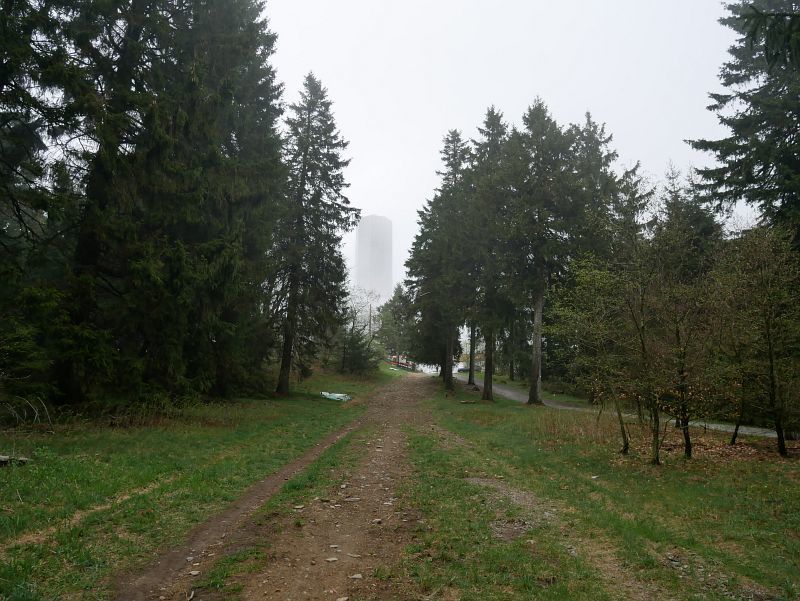 Großer Feldberg (879 m), kurz vor Erreichen des Gipfelplateaus