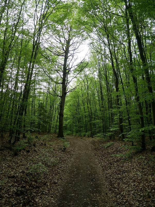Wieder auf einem richtigen Weg