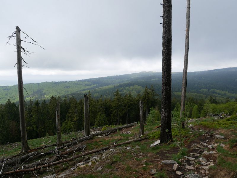 Abstieg vom Altkönig