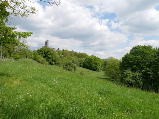 Burg Greifenstein