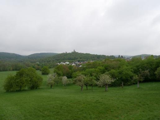 Burg Königstein (Taunus)