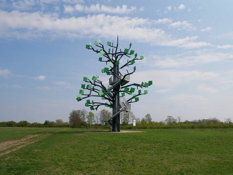 Eisenbaum bei Flörsheim, "Flörsheimer Schweiz"