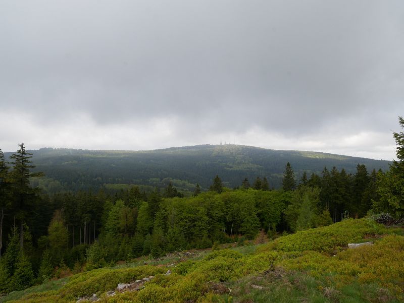Abstieg vom Altkönig, schöner Blick auf das nächste Ziel - den Großen Feldberg (879 m)