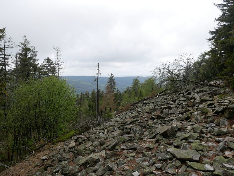 Abstieg vom Altkönig, keltischer Ringwall