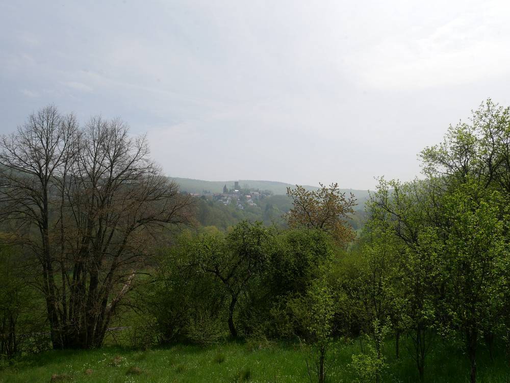 Blick auf Altweilnau 