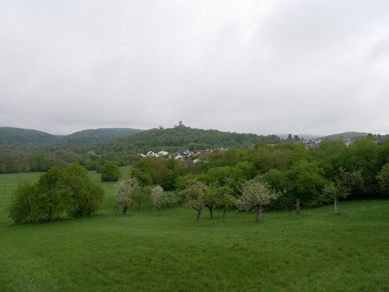 Burg Königstein (Taunus)