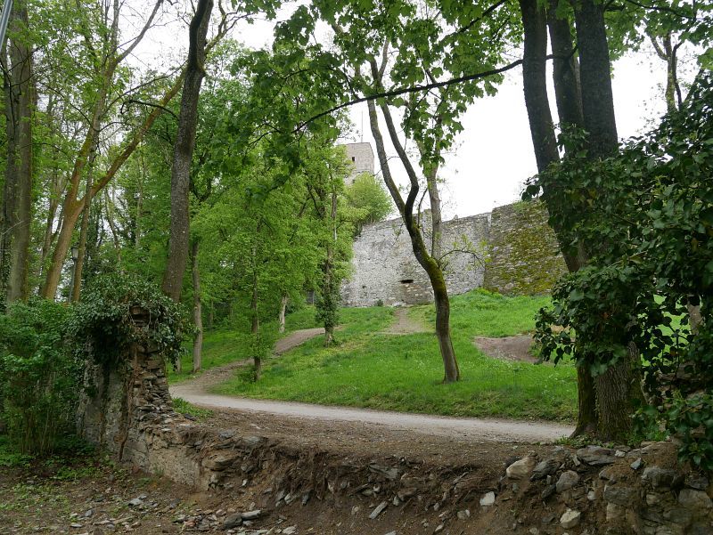 Burg Königstein (Taunus)