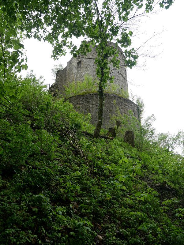 Burg Königstein (Taunus)