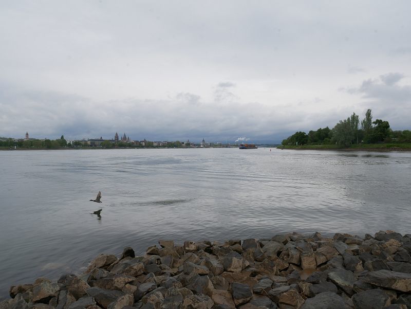 Mainspitze - hier mündest der Main in den Rhein