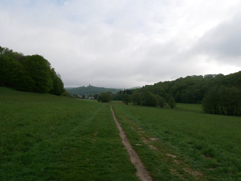 Burg Königstein (Taunus)