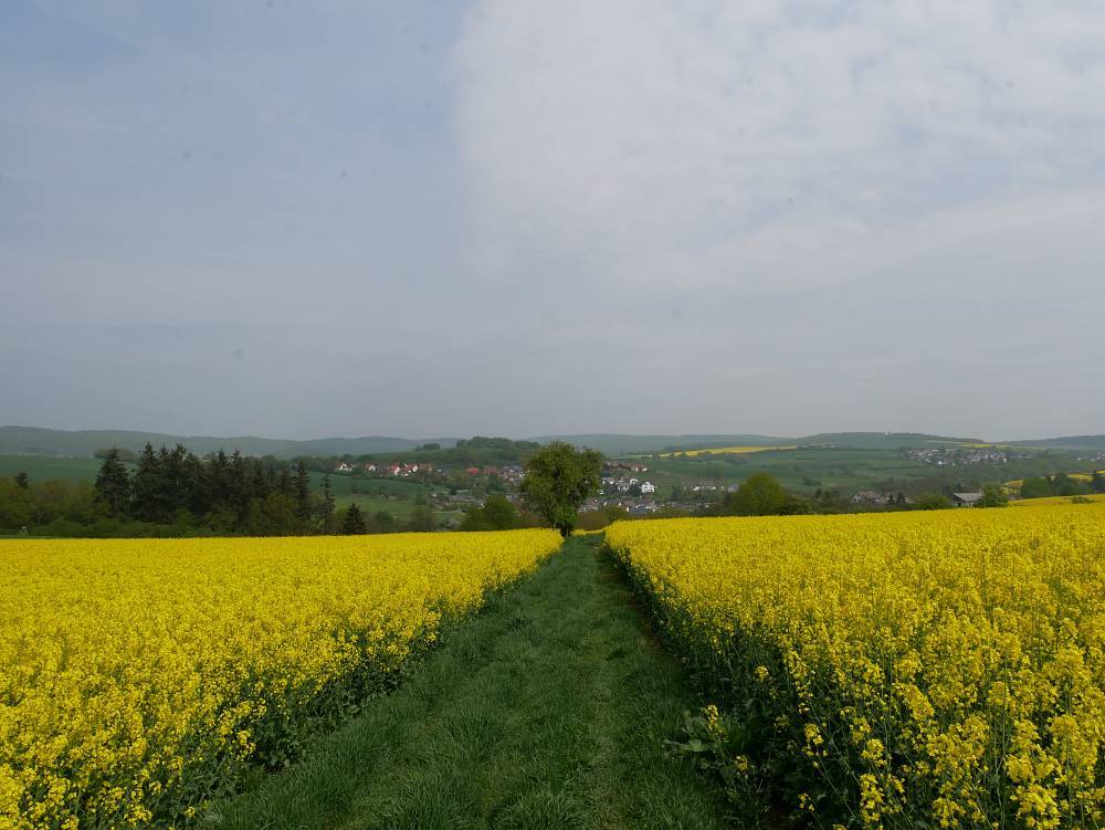 Weg nach Naunstadt (Bildmitte) und Grävenwiesbach (im Bild rechts)