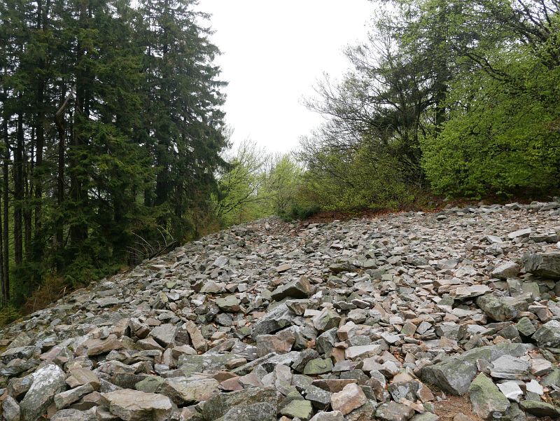 keltischer Ringwall auf dem Altkönig, Taunus