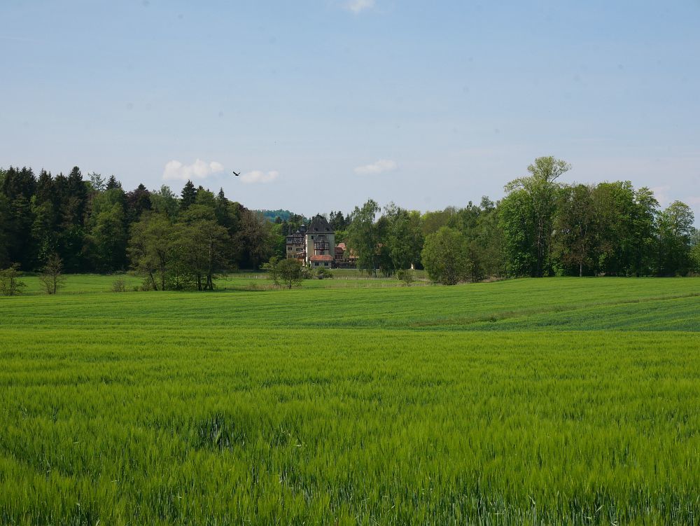 Landgut "Schloss Plausdorf" (nicht öffentlich zugänglich)
