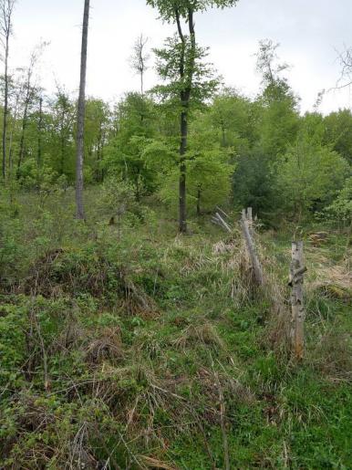 Finde den Weg... Von oben habe ich diesen Weg übersehen und musste daher einen kleinen Umweg laufen; von unten ist der Weg ebenfalls schwierig zu sehen...