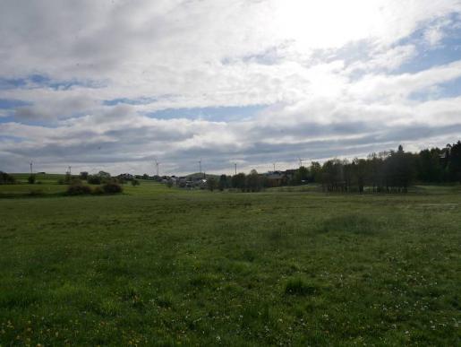 Bottenhorn